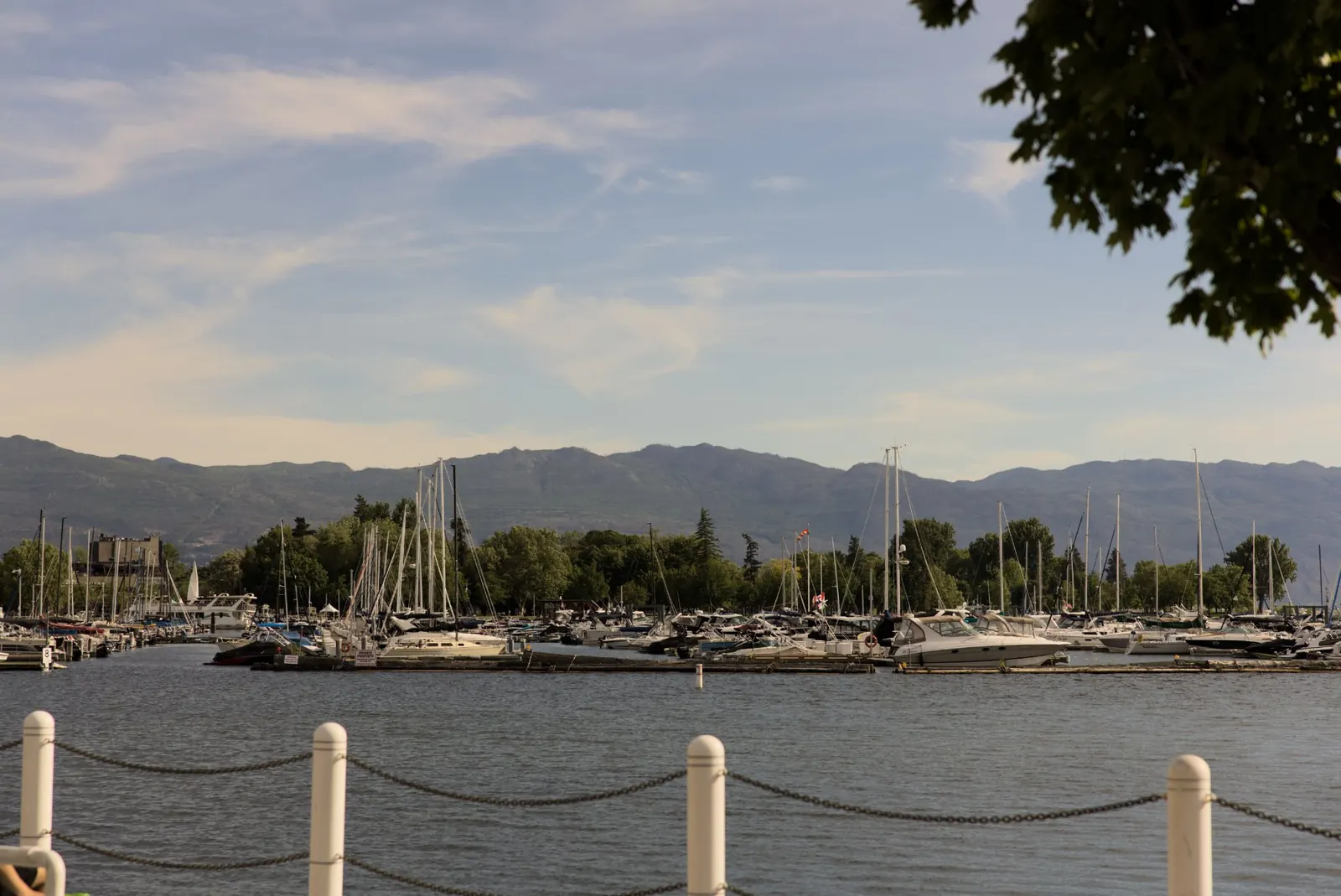Kelowna marina on Okanagan Lake